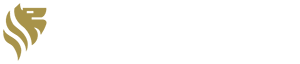 Logo da Lavvi
